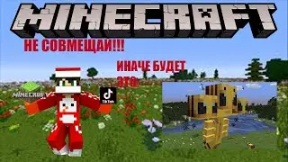 МАЙНКРАФТ+ ТИК ТОК НЕСОВМЕСТИМЫ!!!!!СМОТРЮ ТИК ТОК