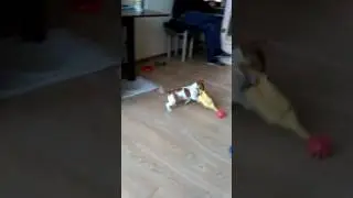 Жестокий Ричард