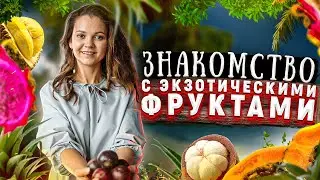 Экзотические фрукты знакомство