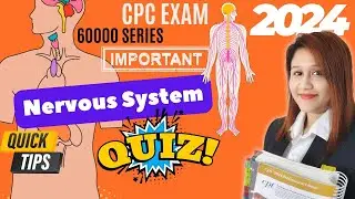 Can You Pass this Nervous System Quiz?5 Questions with Answers
