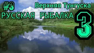 Русская Рыбалка 3 ♧》Итоги Турнира и Верхняя Тунгуска ЧИР И МУКСУН #3
