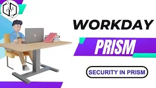 Workday Prism Security in Prism | Workday Prism Online Classes | Workday Prism