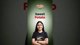 || Sweet Potato ||