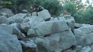 Yaban keçisi avı