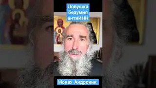 Ловушка безумия анти-ИНН  | Монах Андроник | Афон