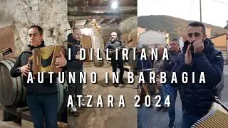 I DILLIRIANA /AUTUNNO IN BARBAGIA #ATZARA #2024shorts