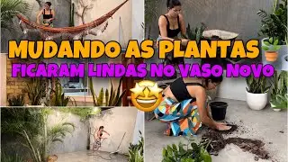 OLHA QUE VASOS LINDOS😍VALORIZA SUPER AS PLANTINHAS | MUDANDO AS PLANTAS E LIMPANDO A SUJEIRA