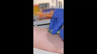 Techniquesforgeriatr.mp4