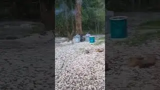 КРУПНЫЙ ГРАД ПЛАТО Асы 26.05.2024