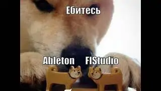 тепичная музыка в морге