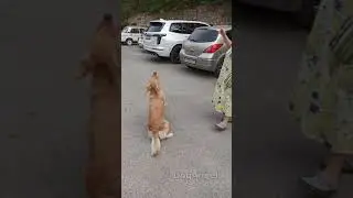2021 08 08 Куба Ляля ловят мяч