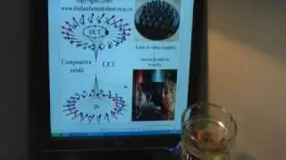 First  magnetic vortice  reproduced...