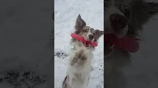 Сказка про кольцо 