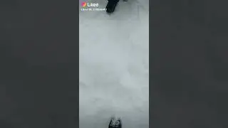 28 февраля 2020 г.