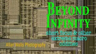 Beyond Infinity - short focus and other extreme macro oddities