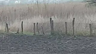 24 квітня 2022 р.