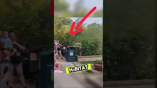 La Sabiduría De Este Animal Dejó a Todos Boquiabiertos😮😔 #shortsvideo #viralvideo