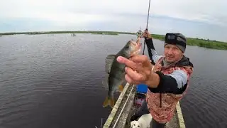 Рыбалка на окуня 2024. Ловля окуня на ультролайт. Рыбалка на спиннинг с лодки. Ищу крупных окуней.