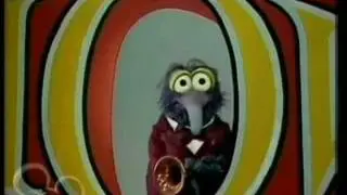 Happy Birthday, Gonzo Style!