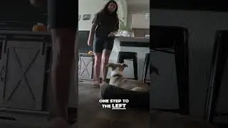 Relaxation Protocol with a puppy