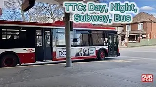 TTC: Day, Night, Subway, Bus 1/7-12/2025