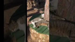 Центр занятости? Мне нечем заняться! 
