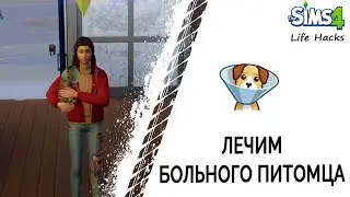 Лечим больного питомца в Симс 4