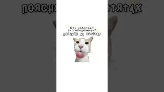 How does exhibitionism work?