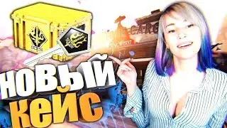 НОВЫЕ КЕЙСЫ В CSGO!!! ГЕЙБ СОШЕЛ С УМА!!! SPECTRUM 2 КЕЙС!!!