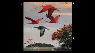 Mace x Rkomi type beat ~ ibis [beat n.120]