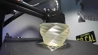 Vase Time Lapse