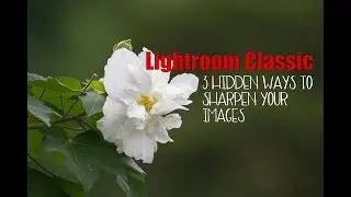 Lightoom Classic.  3 hidden ways to sharpen your images.
