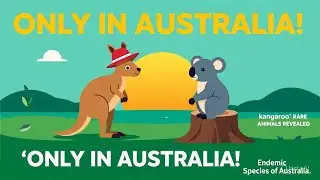 Endemic Species of Australia