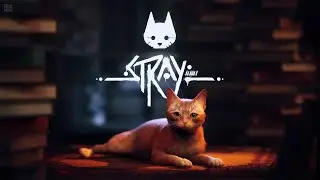 СИМУЛЯТОР КОТА ➲ Stray 1 эпизод начало или конец?