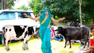 मोपे छः भैंसें एक गइया सासुल अब ना होए कमाई// गौरी भाभी का ठुमका डांस dehati nachgeet