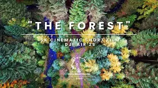 Peak District: The Forest | Solo Hiking