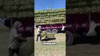 Зачем они СДЕЛАЛИ ЭТОТ ПОДЪЕМНИК 🚜🤔🏗