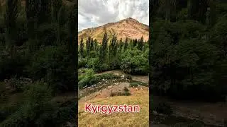 10 августа 2024 г.