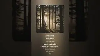 Orman