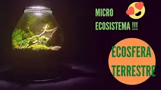 COMO HACER UNA ECOSFERA TERRESTRE, PASO A PASO. 100% CASERO!!!