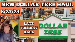 Check Out My Latest Dollar Tree Finds!