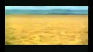 Funniest video - Lion's prey