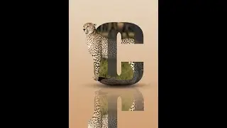 les 63 letter 3 d waar foto is verwerkt is