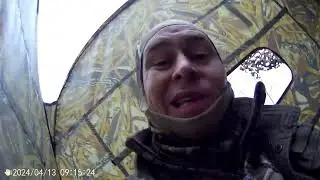 Весенняя охота на селезня с подсадной 13.04.24г.