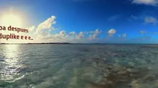 Zymba  -  Bisami Ft. Domina [360 LyricsVideo]