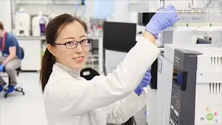 Spotlight on Food Research: How can we protect against food fraud in soya?
