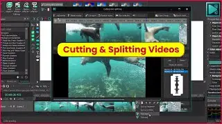 Easily Cut, Split & Trim Videos in VSDC |Video Editing Tips/Tricks