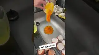 400 eggs will last only 4 days😩😩😩