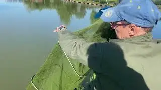 Улов суточника на малом водоеме к утру