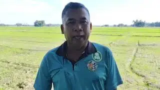 Rice BIOCON FOLIAR CROP VACINE 